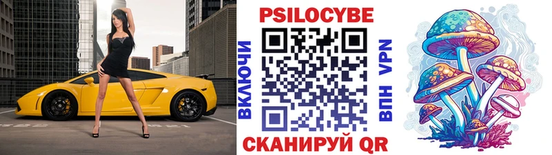 Галлюциногенные грибы мухоморы  blacksprut   Аркадак 